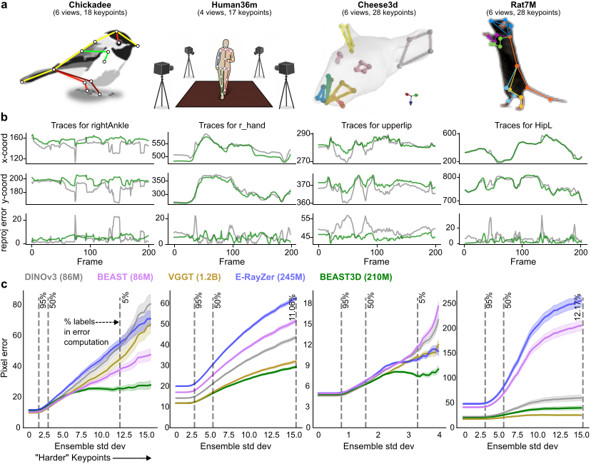 Keypoint skeletons, keypoint traces with reprojection error, and difficulty-stratified pixel-error curves where BEAST3D outperforms DINOv3, BEAST, VGGT, and E-RayZer.