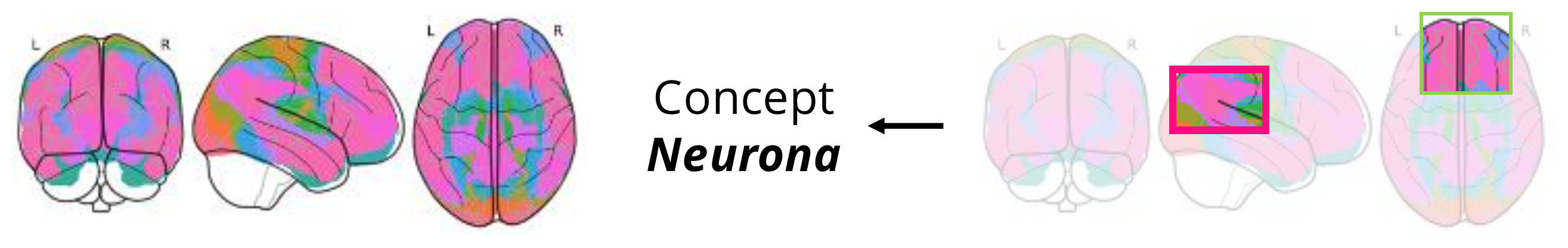 NEURONA grounds symbolic concepts from fMRI onto brain parcels to answer compositional queries
